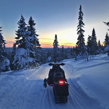 White * Syöte